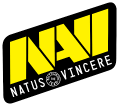 NAVI